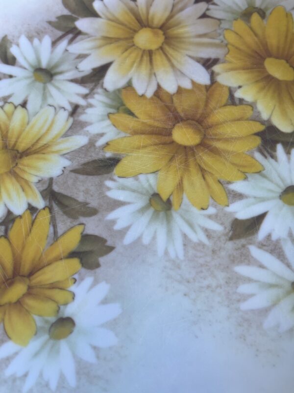 Yellow Daisy Melmac Melamine Dinner Plates - Set of 3 - Image 5