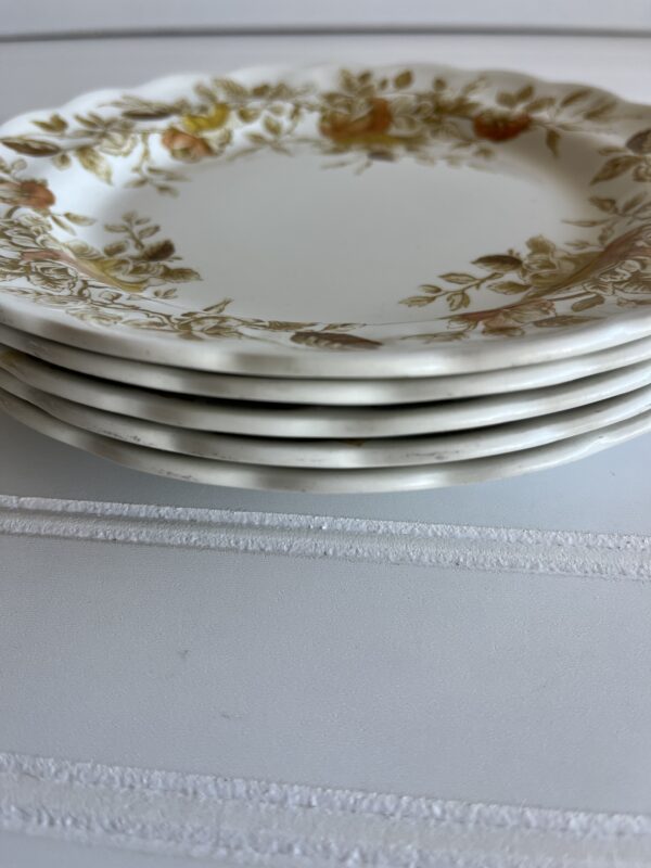 Antique Rose Staffordshire Ironstone Plates – Set of 5 (7 3/4") - Image 3
