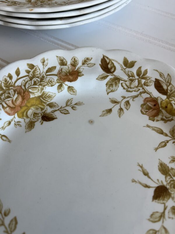 Antique Rose Staffordshire Ironstone Plates – Set of 5 (7 3/4") - Image 2